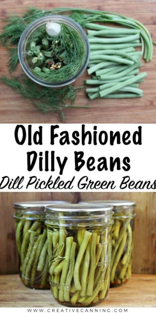 Pickled Dilly Beans (Dill Pickled Green Beans)