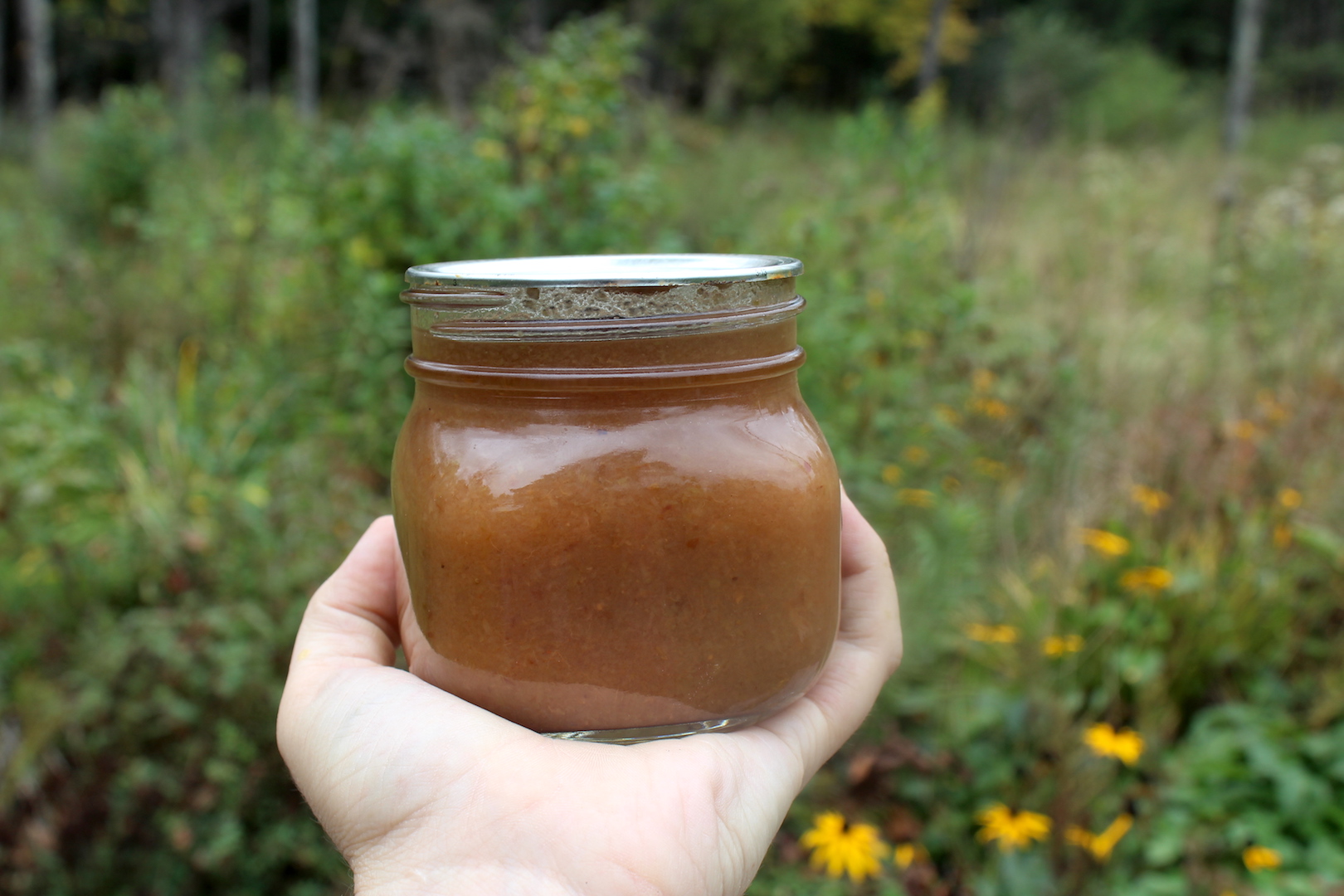 How to Can Applesauce