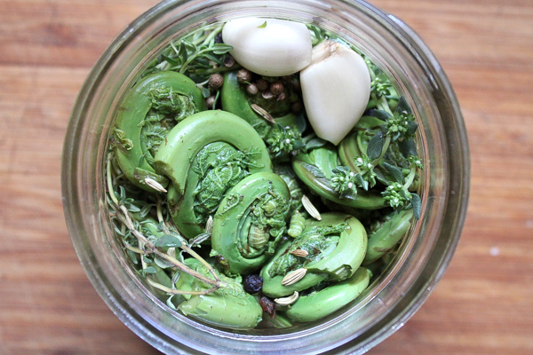 Pickled Fiddleheads