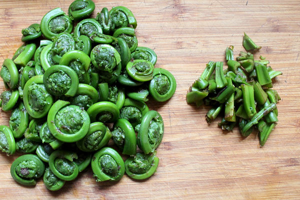 Trimming fiddleheads for canning.