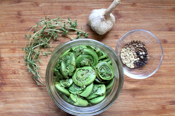 Pickled fiddleheads spiced with fennel, coriander, peppercorns, thyme and garlic.