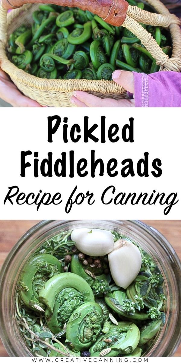 Pickled Fiddleheads Canning Recipe