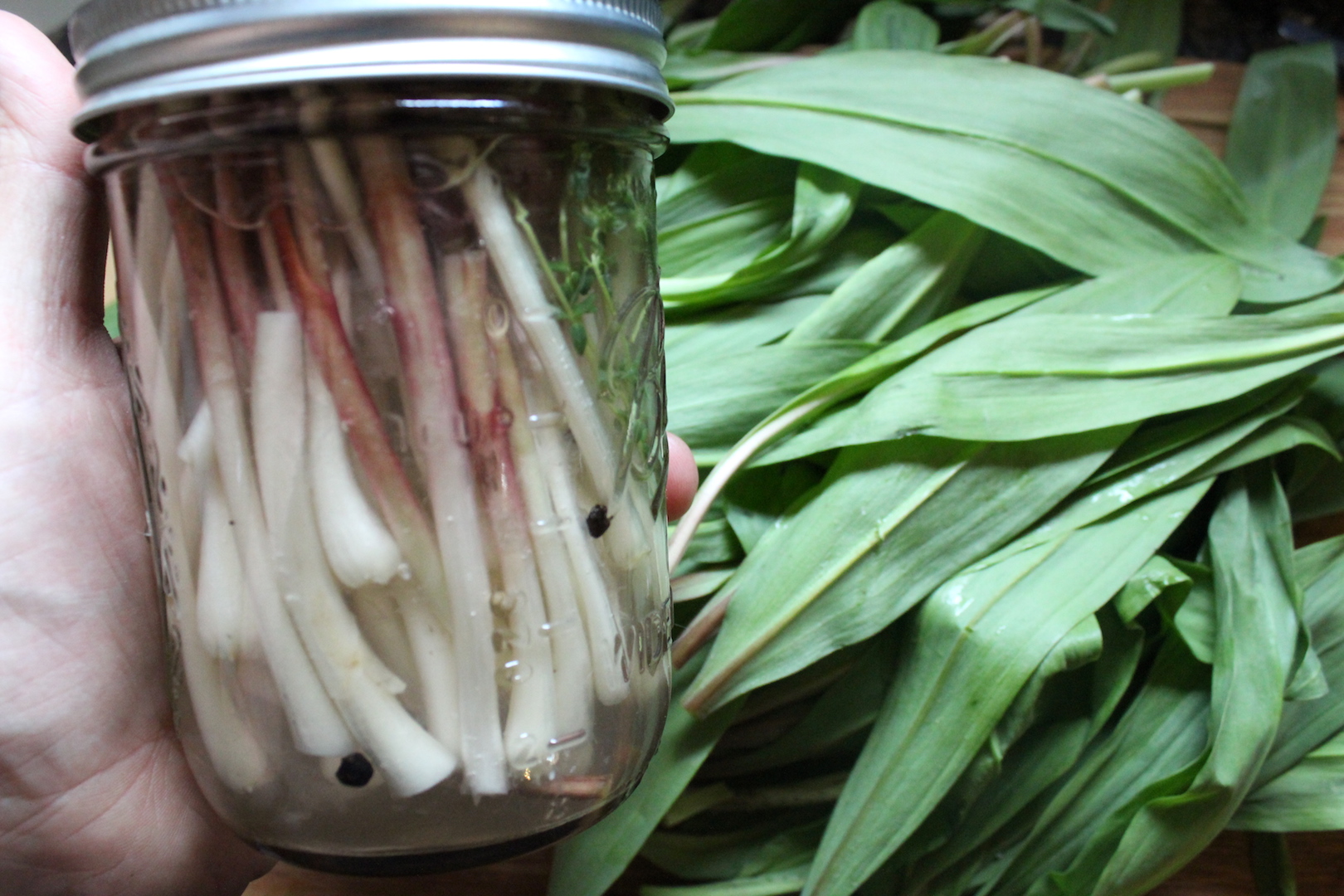 Pickled Ramps