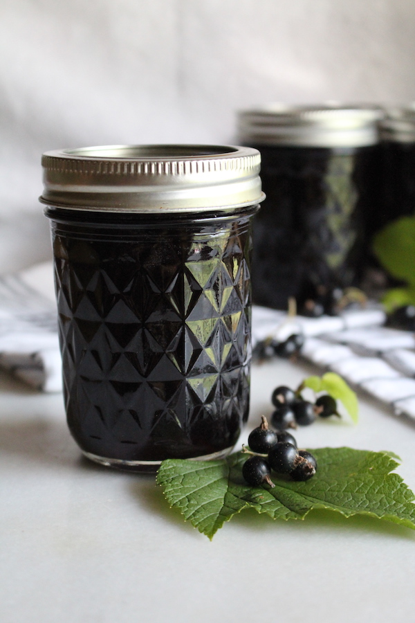 Homemade blackcurrant jelly