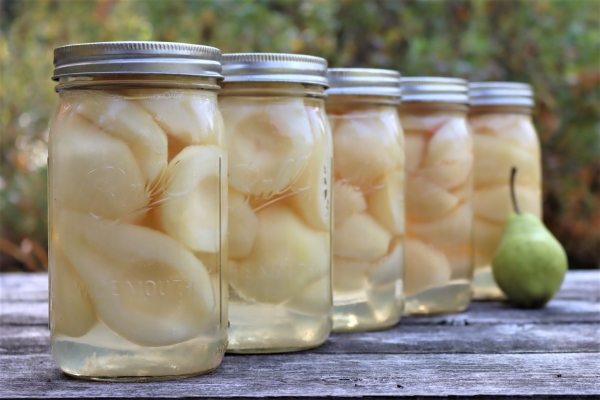 Canning Pears in Quarts