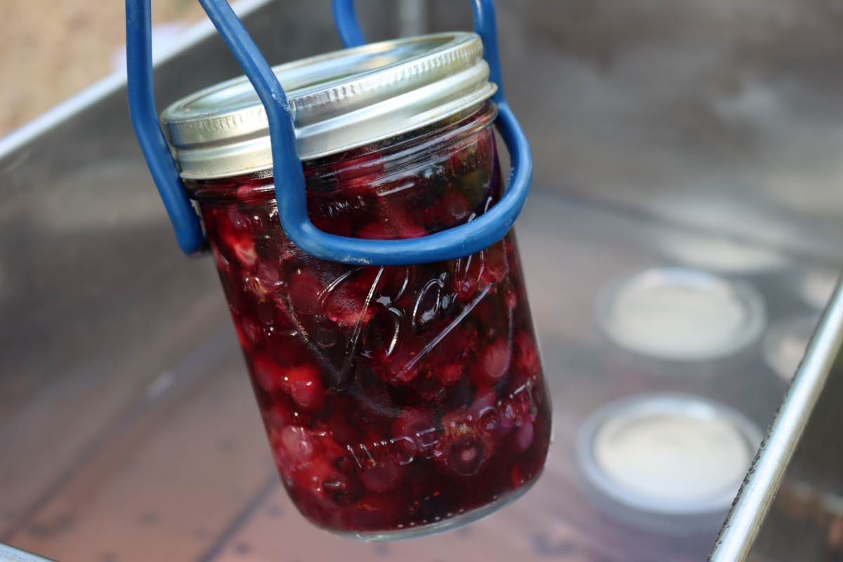 Canning Blueberries