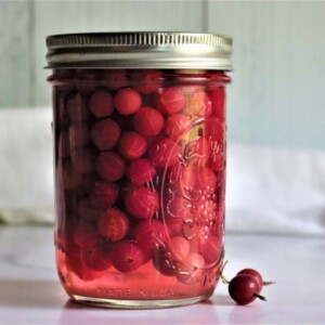 Canning Gooseberries