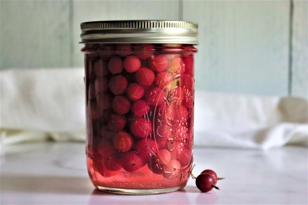 Canning Gooseberries