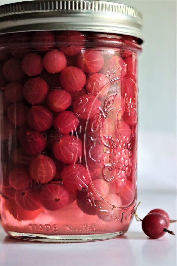 Canning Gooseberries