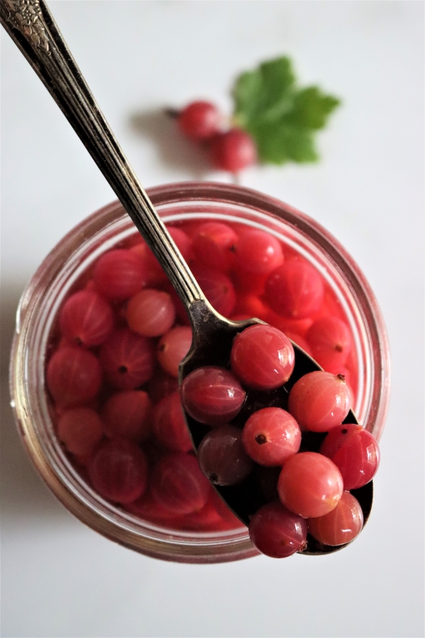Canning Gooseberries Open Jar