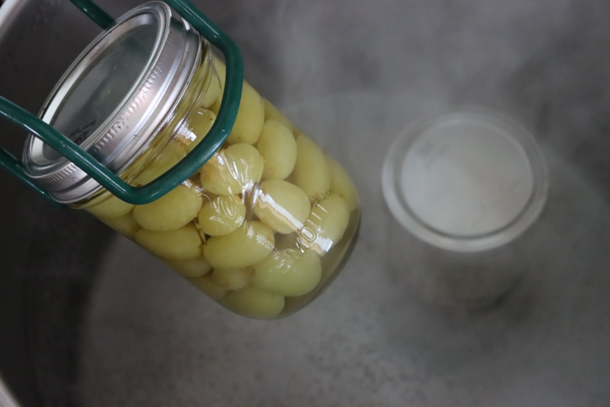 Water Bath Canning Grapes