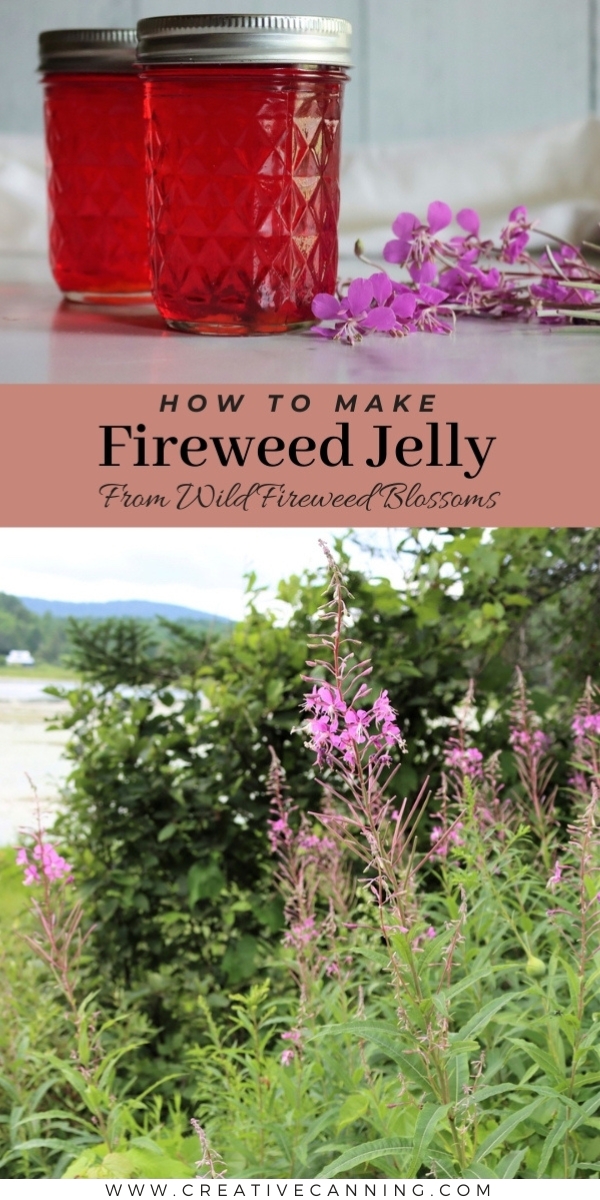 Fireweed Jelly Recipe