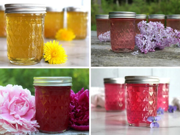 How to Make Flower Jellies