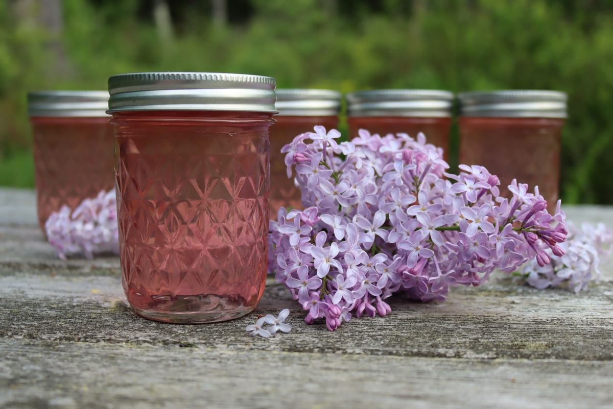 How to Make Flower Jelly (with 20+ Recipes!) - Creative Canning