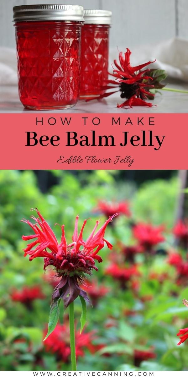 Bee Balm Jelly with Edible Flowers