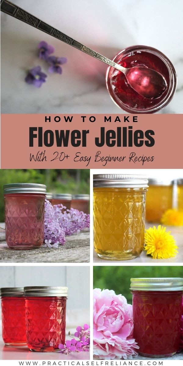 How to Make Flower Jelly (with 20+ Recipes!) - Creative Canning