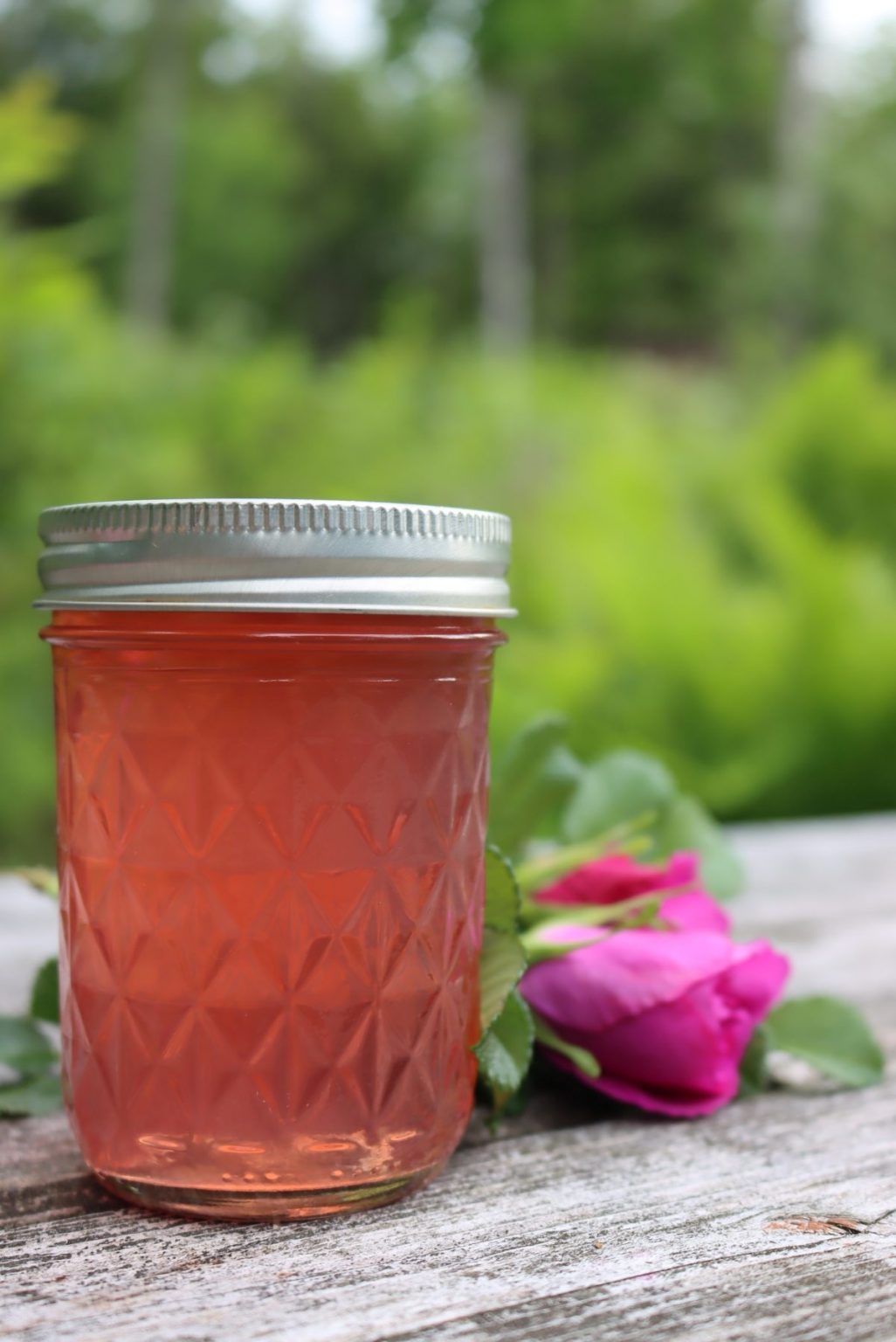 How To Make Flower Jelly (with 20+ Recipes!) - Creative Canning