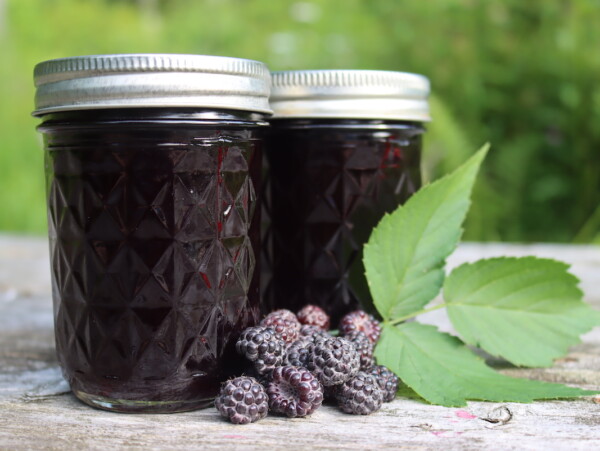 Black Raspberry Jelly