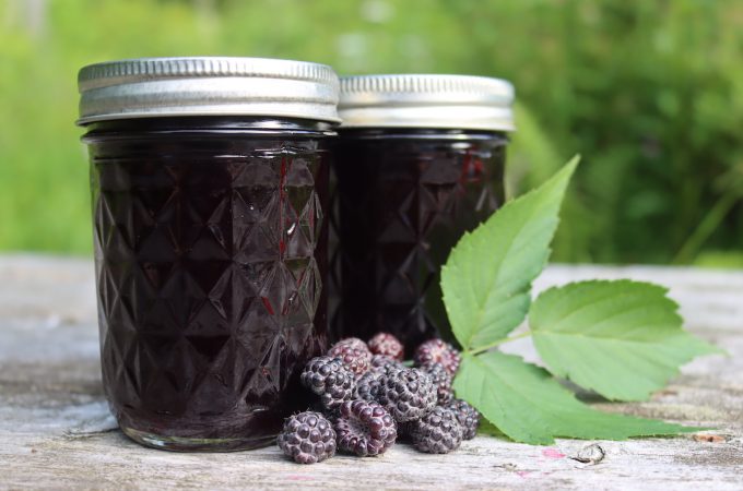 Black Raspberry Jelly (Seedless)