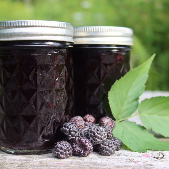 Seedless Black Raspberry-Blackberry Jam