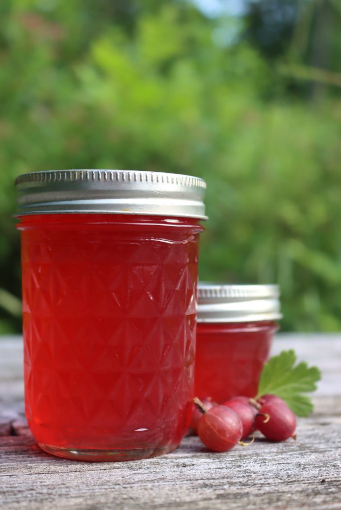 Gooseberry Jelly - Creative Canning