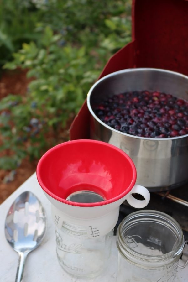 Canning Plain Blueberries