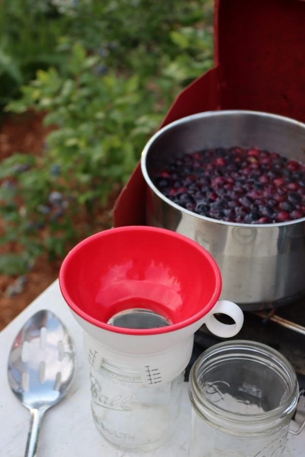 Hot Pack Canning Blueberries