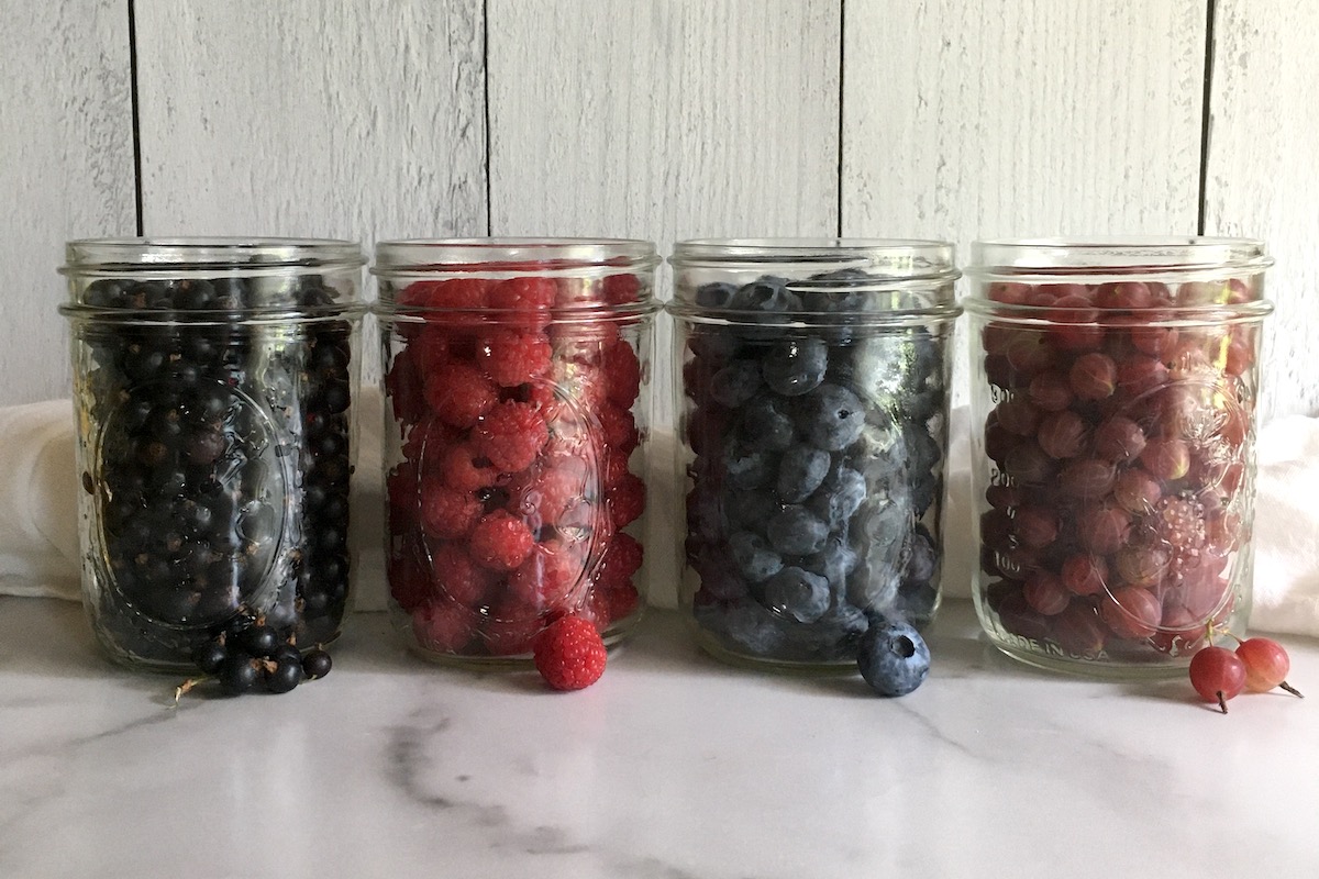 Raw Packing Berries for Canning