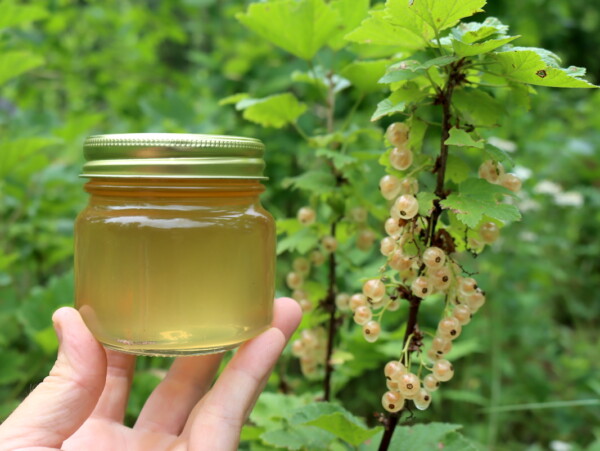 White Currant Jelly