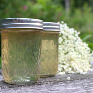 Elderflower Jelly