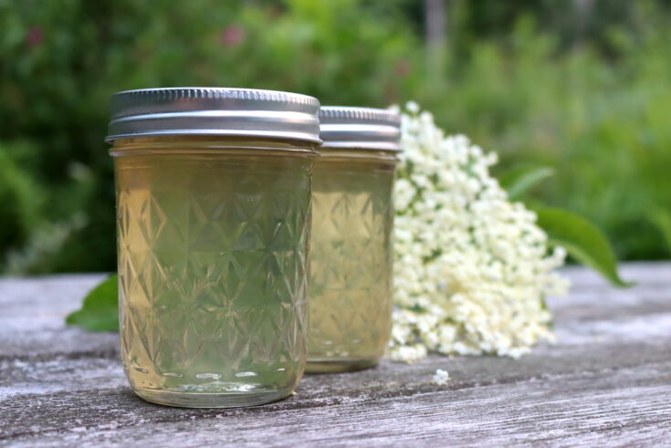 Elderflower Jelly