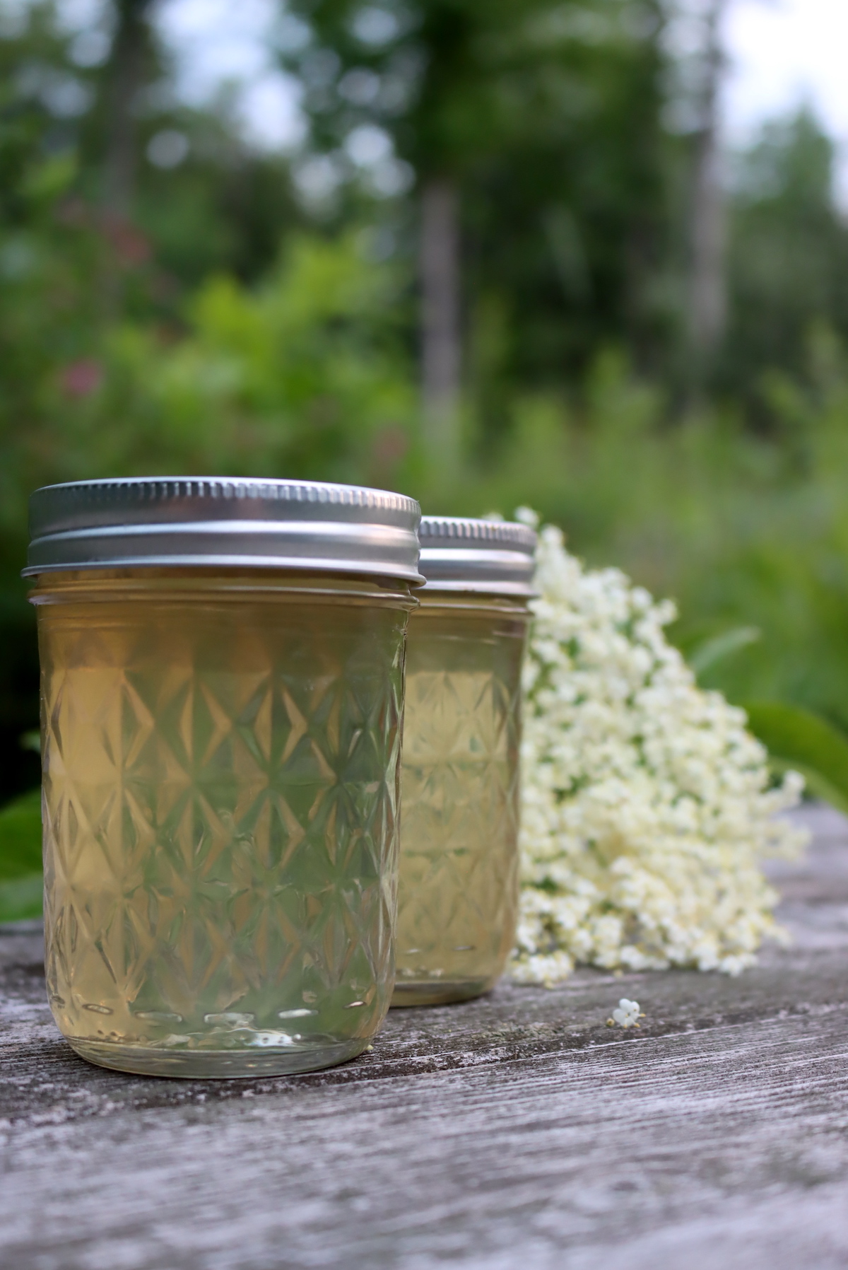 Elderflower Jelly