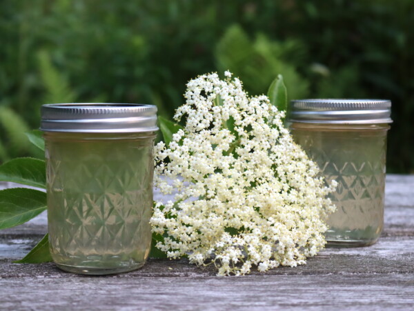 Elderflower Jelly