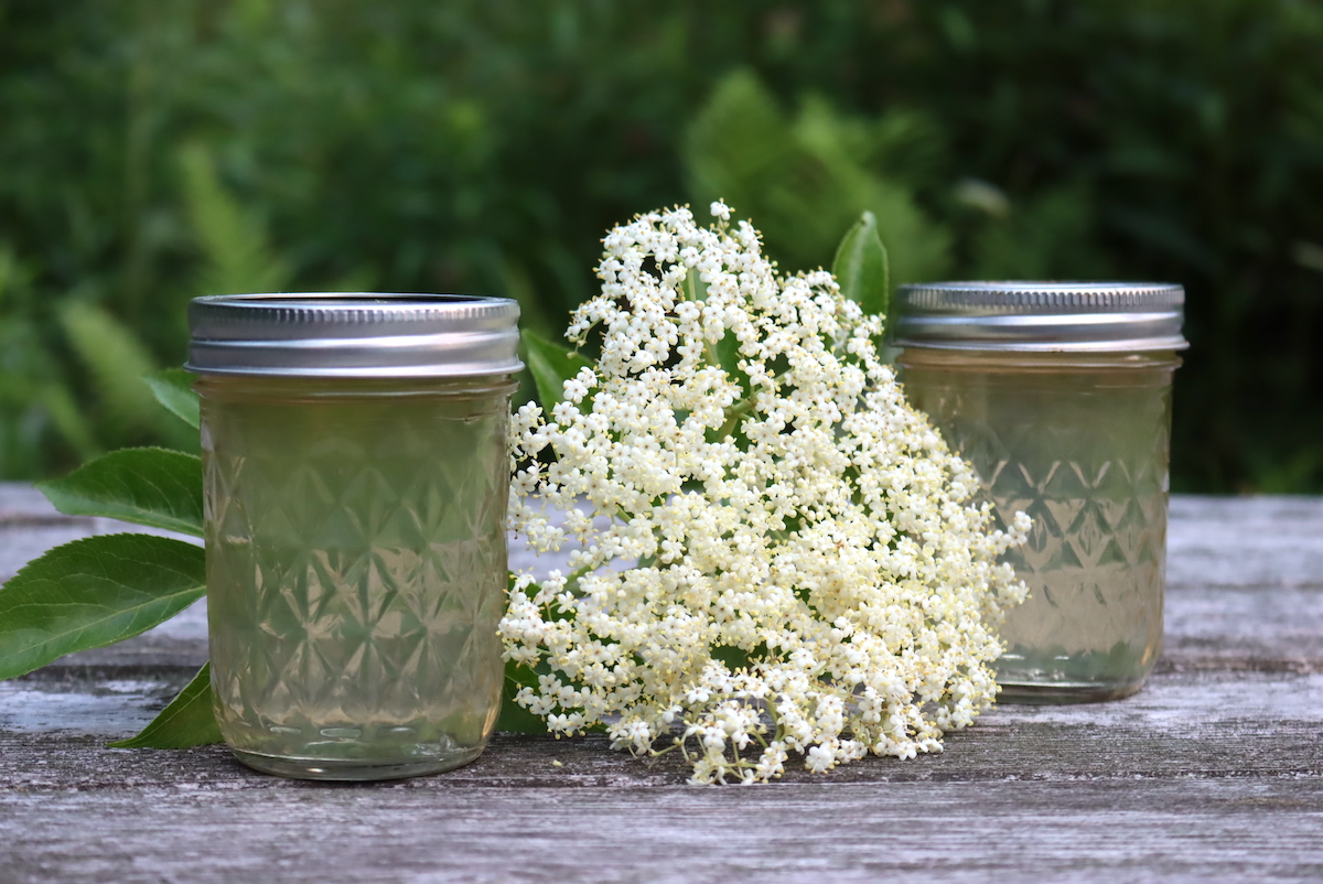 Elderflower Jelly