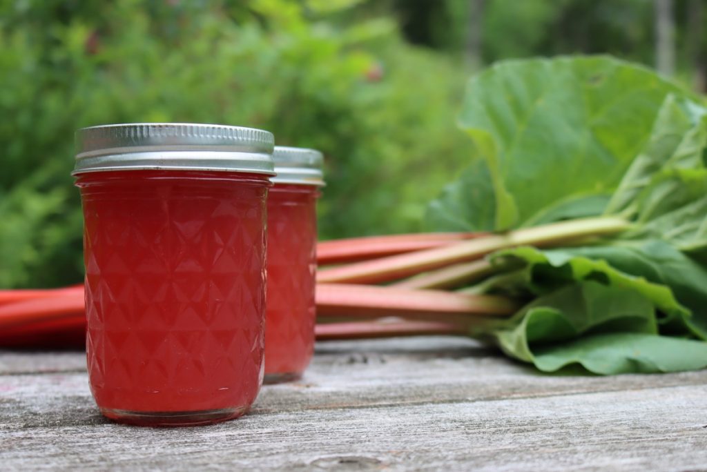 Rhubarb Juice Concentrate With Canning Instructions Creative Canning