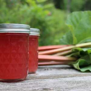 Canning Rhubarb Juice