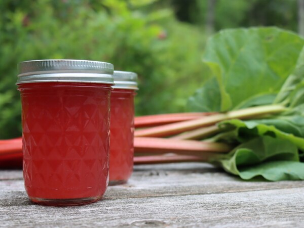 Canning Rhubarb Juice