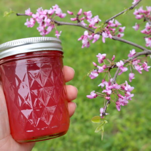 Redbud Jelly