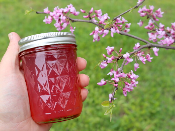 Redbud Jelly