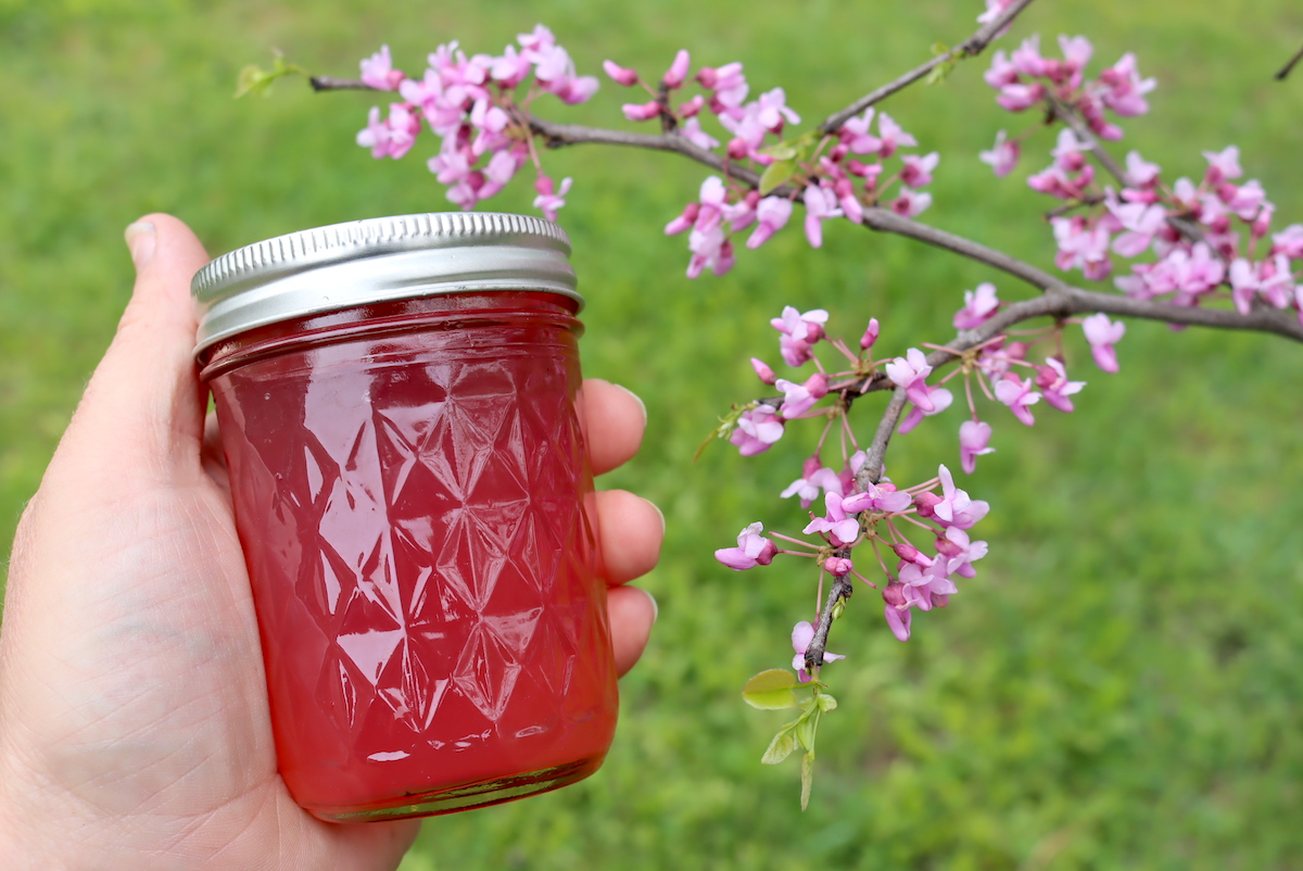 Redbud Jelly