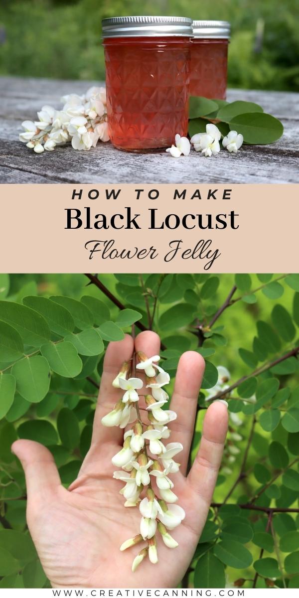 Black Locust Flower Jelly