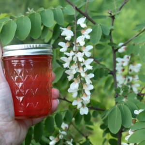 Black Locust Jelly