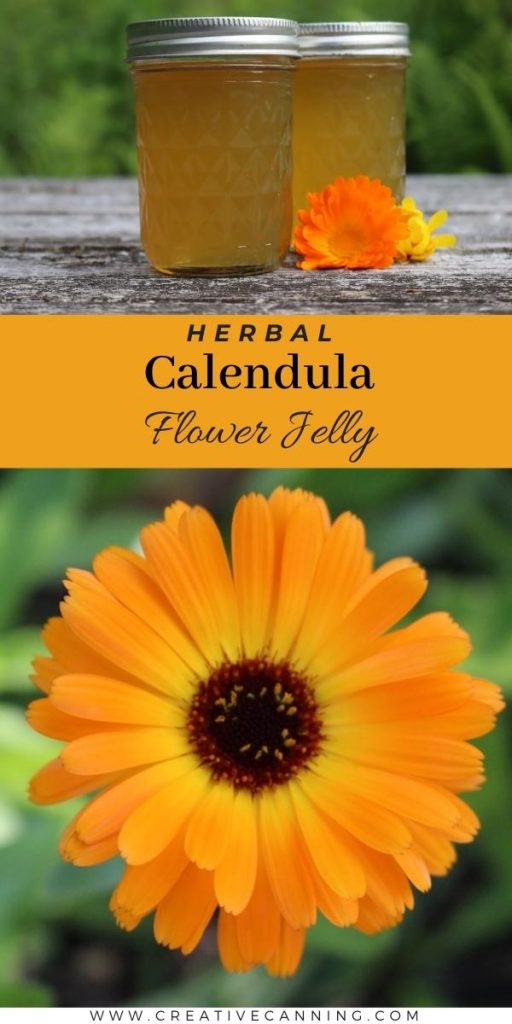 Calendula Flower Jelly (& Marigold Jelly)