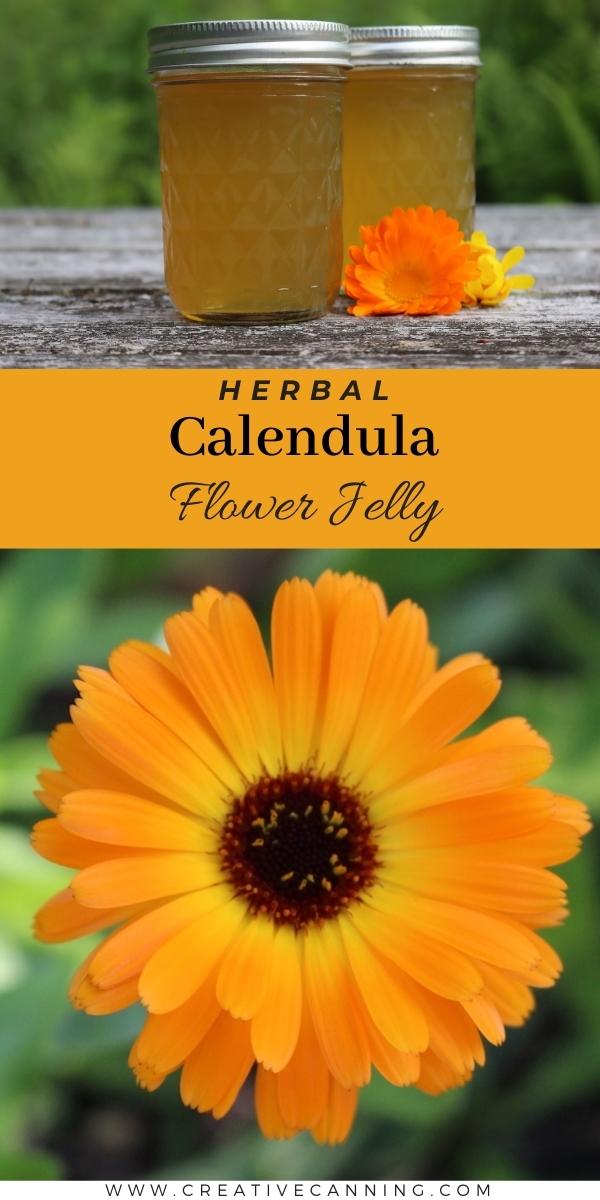 Calendula Flower Jelly