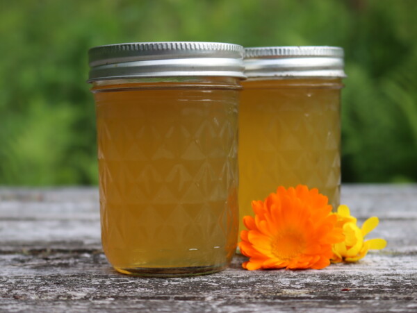 Calendula Jelly