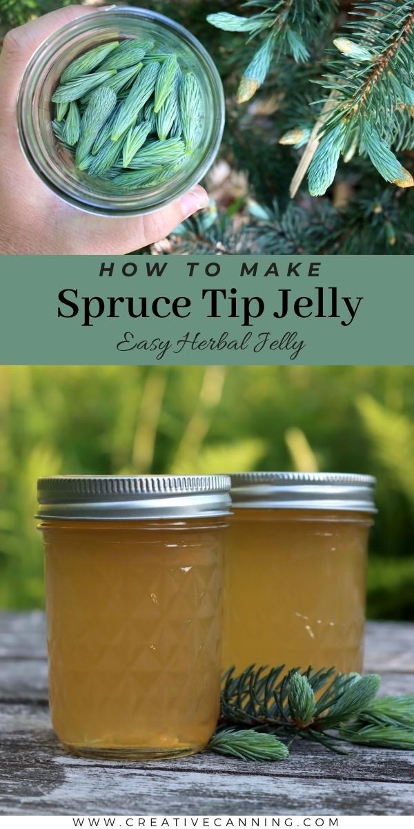 Spruce Tip Jelly - Creative Canning