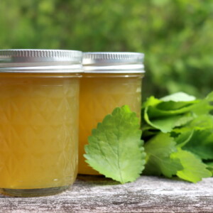 Lemon Balm Herb Jelly