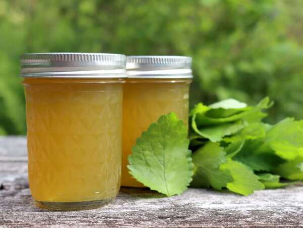 Lemon Balm Herb Jelly