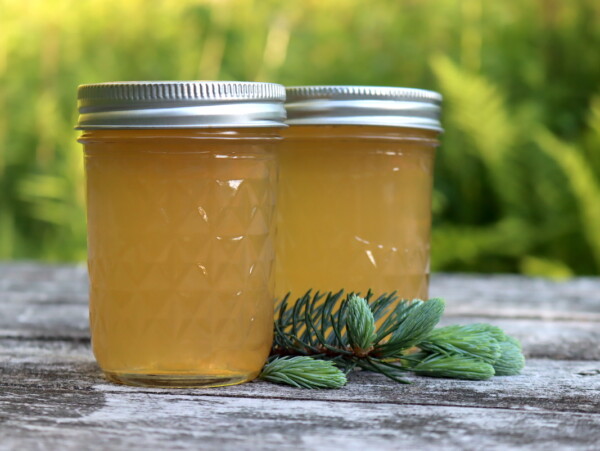 Spruce Tip Jelly