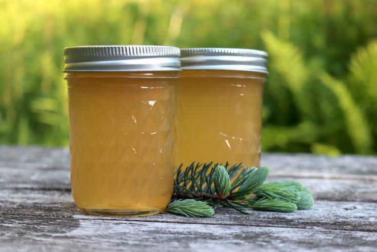 Spruce Tip Jelly